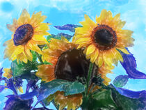 Sonnenblumenbild von Edgar Schermaul