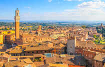 Rooftops of Siena by Margaret Ryan