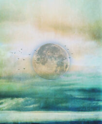 The moon by Anne Seltmann