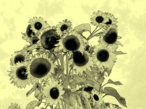 Sonnenblumengrafik von Edgar Schermaul