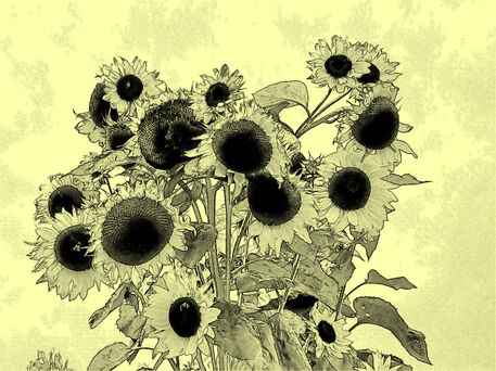 Sonnenblumengrafik