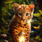 Leopard-cub