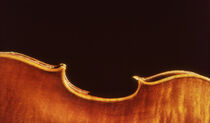 Half violin detail von David Halperin