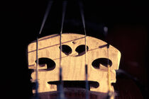 Violin bridge closeup von David Halperin