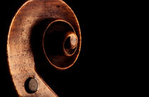 'Violin scroll detail' von David Halperin