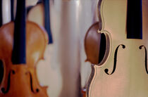  Half-made violins von David Halperin