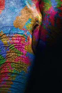 Farbenfroher Elefant by mutschekiebchen