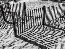 Shadows in the sand  by O.L.Sanders Photography