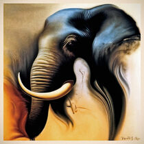 Elefant von Harald Laier