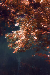 Autumn Dream by CHRISTINE LAKE