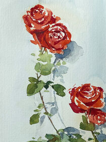 Rote Rosen von Sonja Jannichsen