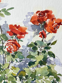 rote Rosen by Sonja Jannichsen