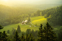 Farm in the Black Forest by Susanne Fritzsche