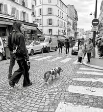 Strolling In Paris von O.L.Sanders Photography