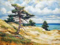 Alte Kiefer auf Sanddünen an der Ostsee. Impressionismus von havelmomente