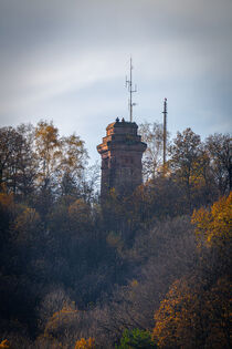 Herbstbild vom Bismarckturm in Landstuhl von Patrick Gross