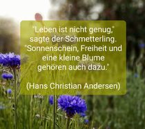 Zitat von Hans Christian Andersen II by Heike Jäschke