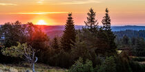 Sonnenaufgang  im Nationalpark Schwarzwald von dieterich-fotografie