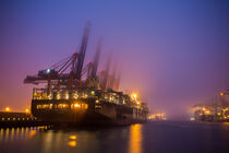 Containerschiff MSC Daniela Hamburger Hafen Hamburg Containerterminal Eurogate by olliventure