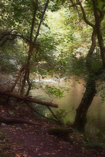 'By The Riverbank' von CHRISTINE LAKE