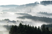 Nebelmorgen in der Hocheifel, Rheinland-Pfalz, Deutschland von alfotokunst