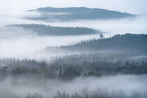 Nebelmorgen in der Hocheifel, Rheinland-Pfalz, Deutschland by alfotokunst