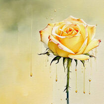 Zerlaufende Rose by Sabine Schemken