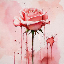 Rose in Pink von Sabine Schemken