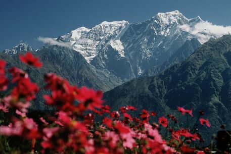 Annapurna011nxcrn
