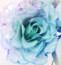 Wonderful Rose by Doris Beckmann