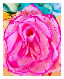 Romantic Rose by Doris Beckmann