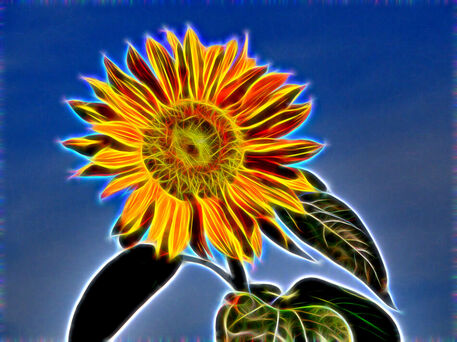 Sonnenblumenkunst