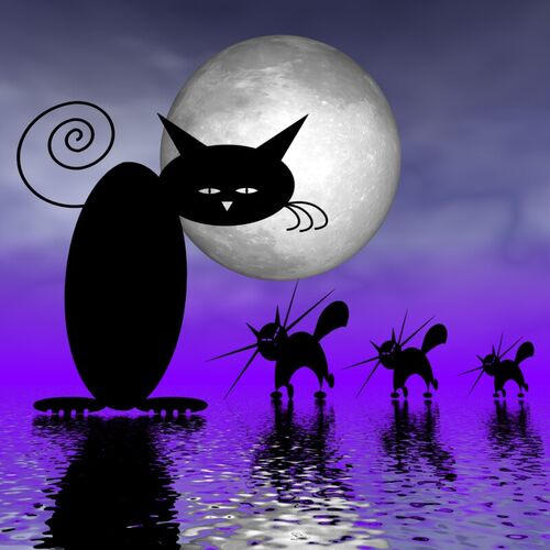 Nr-mooncats-catwalk-00