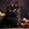 Cute-black-cat-and-flowers-01