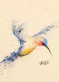 Kolibri by Theodor Fischer