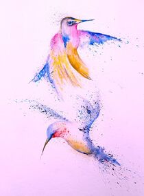 Kolibris by Theodor Fischer