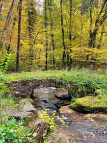 Herbstwald mit Steinbrücke by wolfpeter