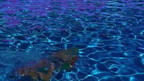 Schwimmer im Pool by m-j-artgallery