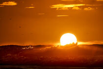 Sonnenuntergang am Meer von Stephan Zaun