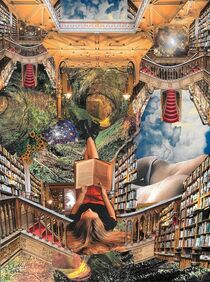 The epic Library by Birger Rehse