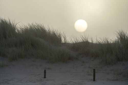 Sonnenaufgang-dune-kijkduin2-kopie