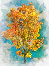 'Herbstbaum' von wolfpeter