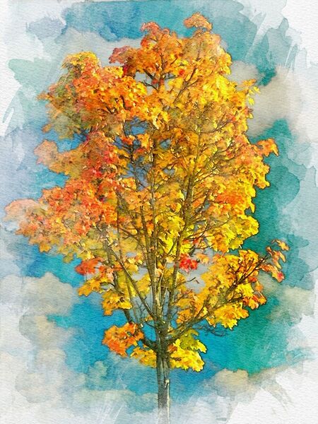 Baum-1-watercolor
