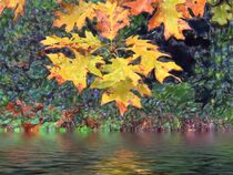 Herbstlaub am Wasser von Edgar Schermaul