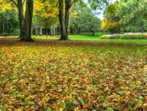 Herbst im Park von Edgar Schermaul