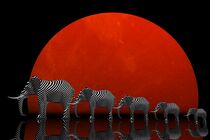 Elefanten und Monduntergang by artforyou
