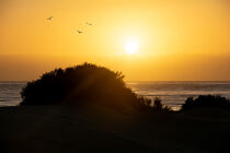 Sonnenaufgang über den Dünen am Meer  von Claudia Evans