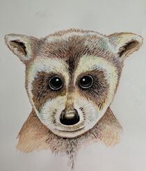 Kleiner Panda von Ilona Betker