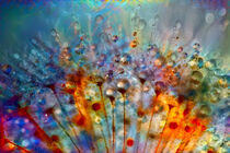 'Colorful dreams' von Anne Seltmann
