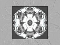 Kaleidoskop in Grau und Weiß von marie-t